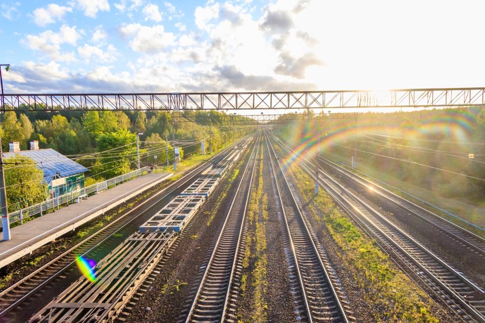 Picture of railway tracks in a lush forest